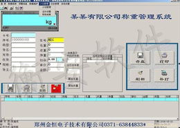 網絡版實時視頻監控稱重管理軟件系統開發設計分析