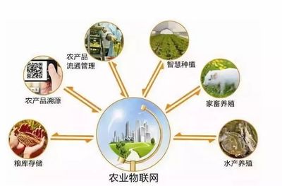 鄉(xiāng)村規(guī)劃設(shè)計丨中國農(nóng)業(yè)十大戰(zhàn)略布局 風(fēng)口、獨角獸與投資熱點深度解析